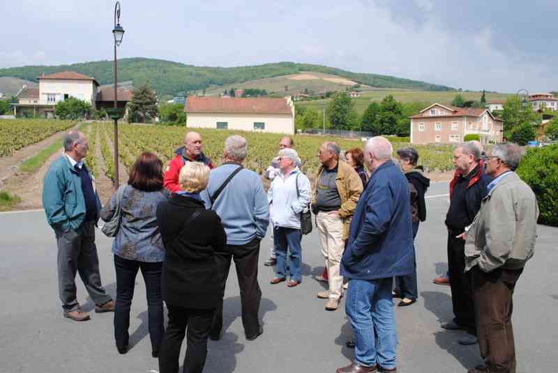 03_DSC_0135 (Sommier).jpg - À Quincié-en-Beaujolais...